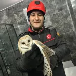 İTFAİYE EKİPLERİ MAHSUR KALAN BAYKUŞ İÇİN SEFERBER OLDU