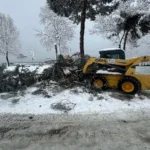 ORDU’DA ŞİDDETLİ KAR