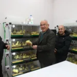 KAZ YETİŞTİRİCİLİĞİ ARTIYOR