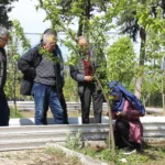 MEYVE AĞAÇLARI AŞILANACAK